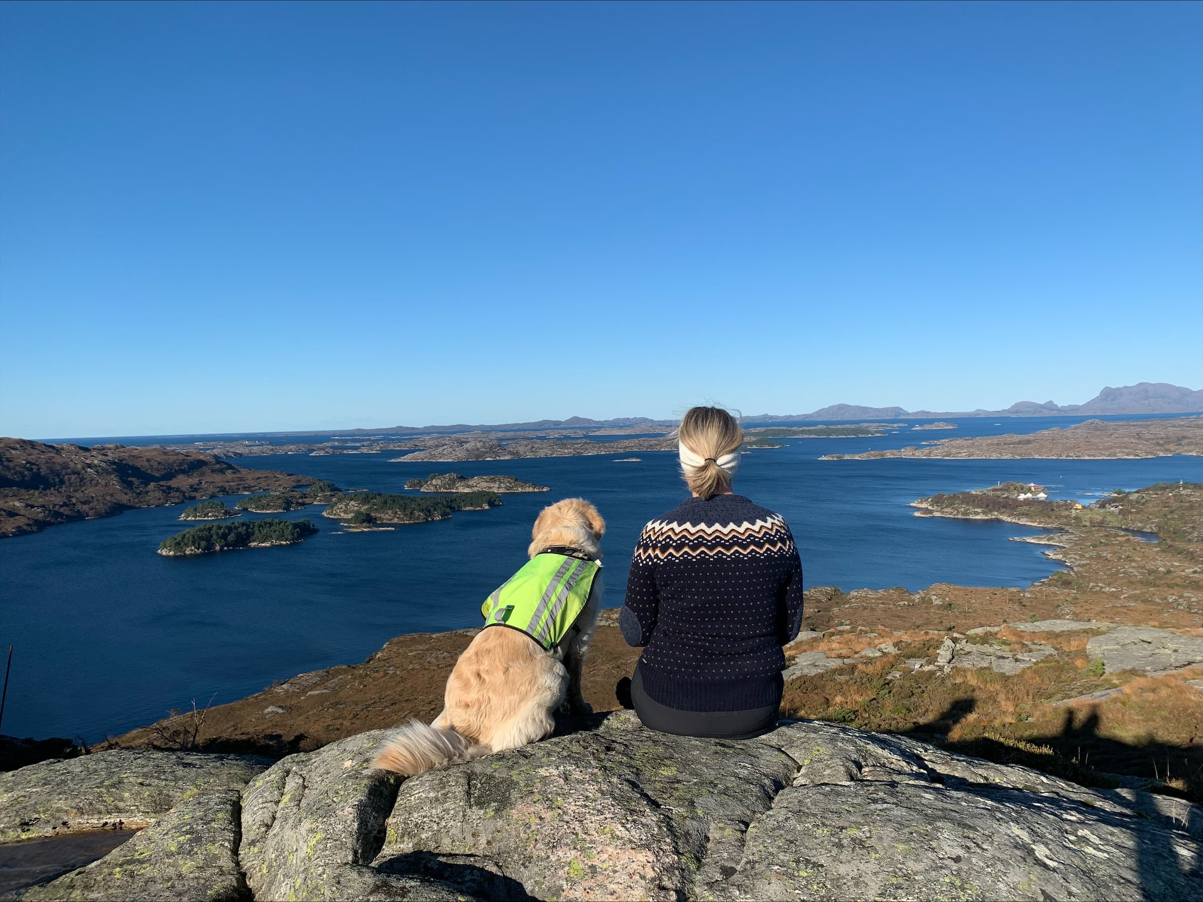 Utsikt over Byrknesøy fra fjelltopp med hund