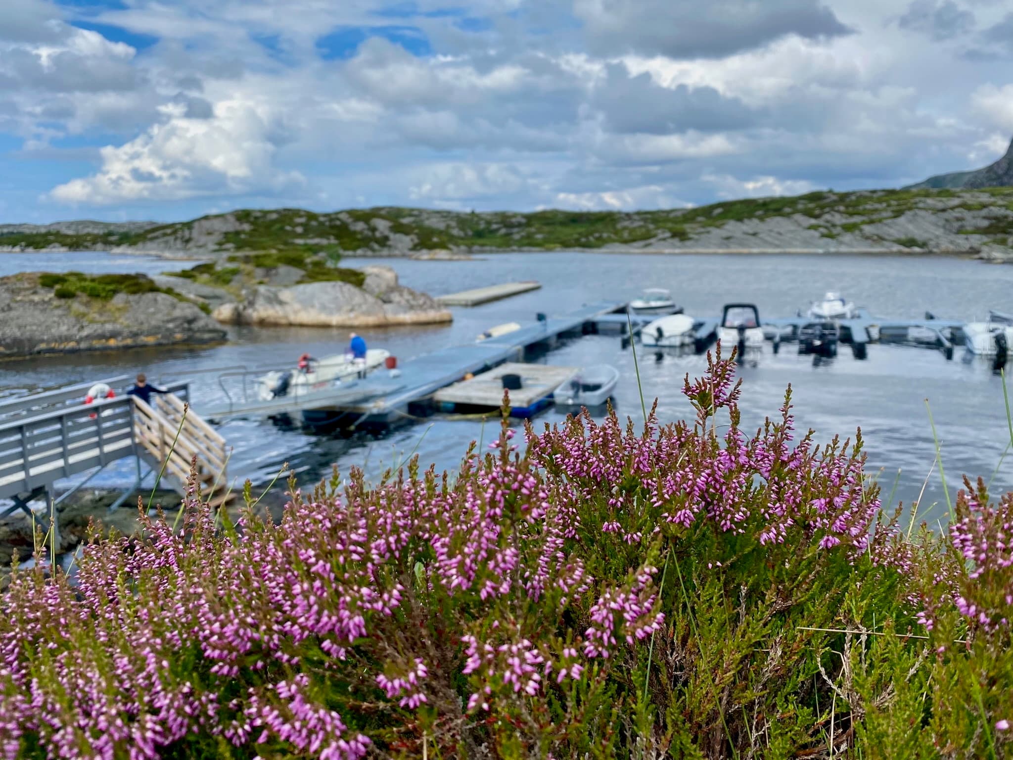 Marinaen i Merkesdalsvågen — båtplass 80 000 kr, ingen venteliste